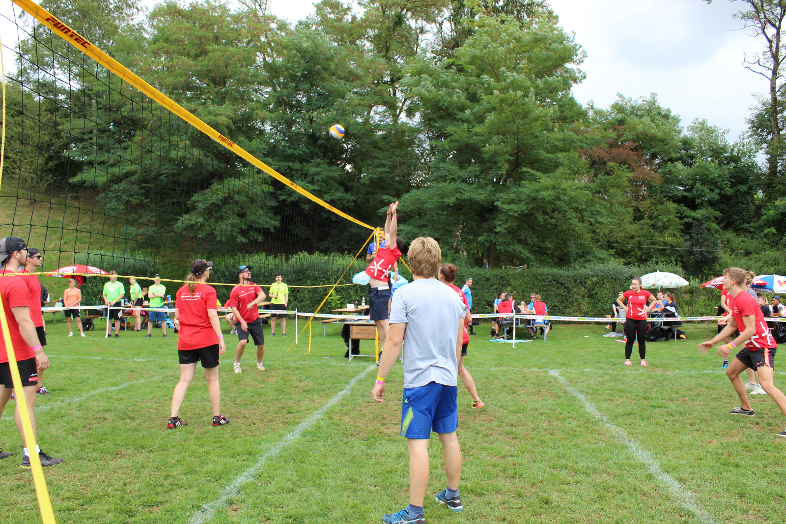 Volley  (78)
